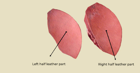 category